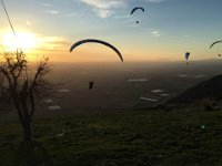 Norma Februar 2016   171